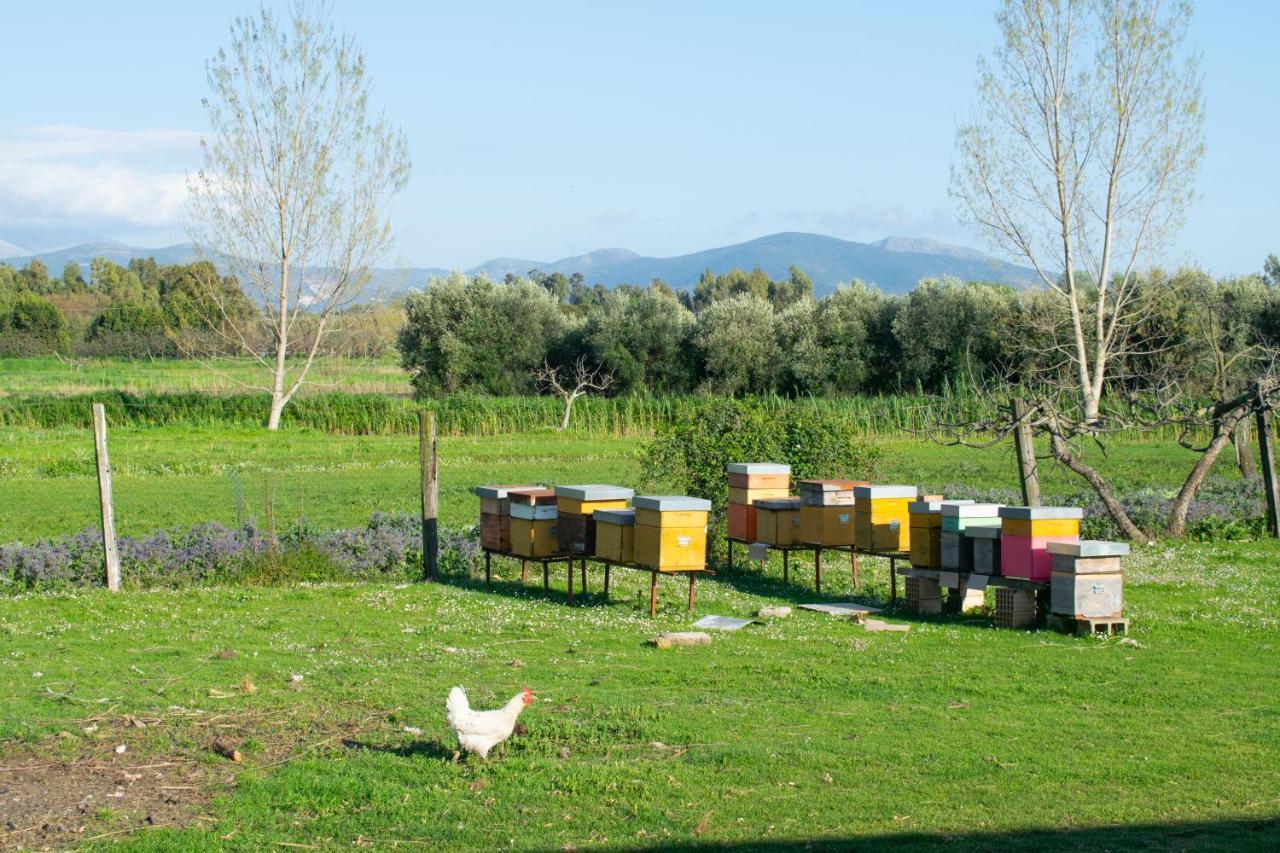 Camera Iris - B&B Antico Casale Monte San Biagio Extérieur photo